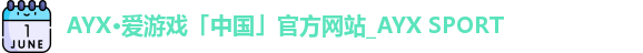 AYX·爱游戏「中国」官方网站_AYX SPORT